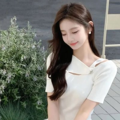 大象与小蝶物语